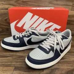 中古 Nike Terminator Lowのサムネイル