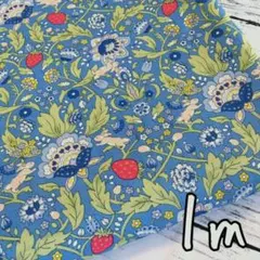 こげちゃすずめ断捨離中様 リクエスト 2点 まとめ商品