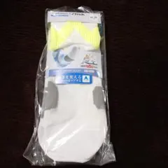 Item thumbnail for item 61228dd0-b7fa-48bd-bebb-481a8170f3e2