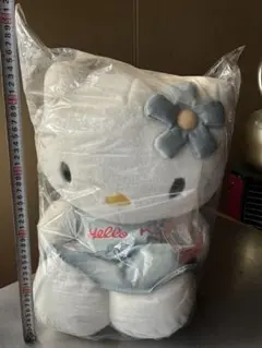 Item thumbnail for item 66f25d67-3d18-475b-94b2-e1b4c3e0b7ff