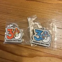 ポケモン　30周年　メタルチャームマスコット　2種セット