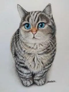 写実鉛筆画 猫A3ケント - メルカリ