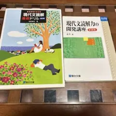 現代文読解基礎ドリル 現代文読解力の開発講座 2冊セット
