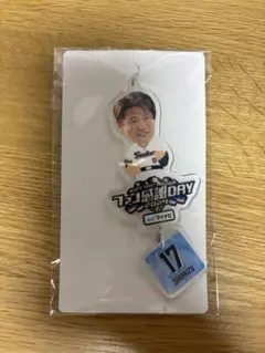 東京ヤクルトスワローズ 清水昇 キーホルダー