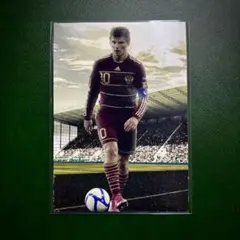 2026年最新】arshavinの人気アイテム - メルカリ