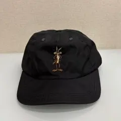 ルーニーテューンズ