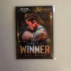 Item thumbnail for item 1284ed80-06b7-4777-801a-71d8b3c0c264