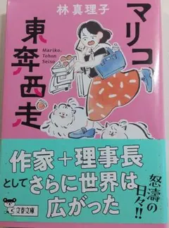 マリコ 東奔西走