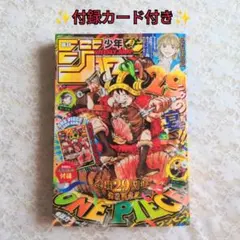 付録未開封】週刊少年ジャンプ 2026年33号 ワンピースカード付き