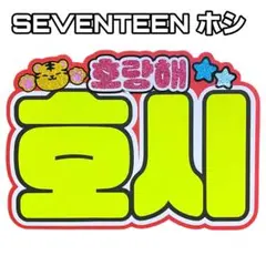SEVENTEEN セブチ　ホシ　ネームボード　ネムボ　うちわ文字　蛍光色
