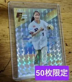 Item thumbnail for item 064a546c-cb9d-44de-941e-5596bb7762ee