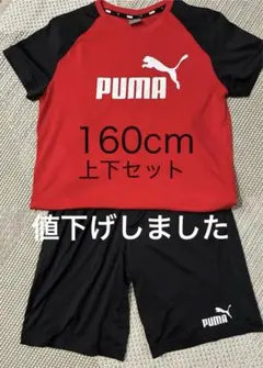 PUMA 160cm 美品　Tシャツ、ショートパンツセット