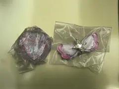 なりきりプリキュア2＆プリキュアリボンコレクション2