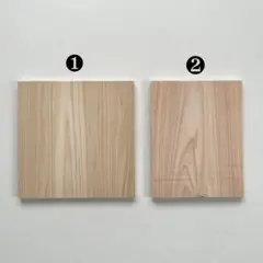 Item thumbnail for item 19b9c33b-cc6e-4c58-9549-8af090e3ca1b