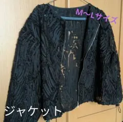 シースルー　 シアー　ブラックジャケット 　ジャンパー　ブルゾン　M〜Lサイズ