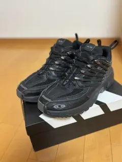 salomon acs pro 26.5cm
