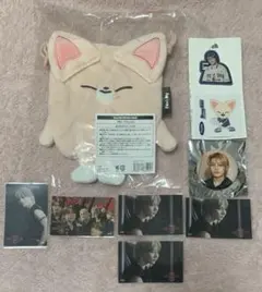 Stray Kids スキズ アイエン I.N フォクシニー まとめ売り