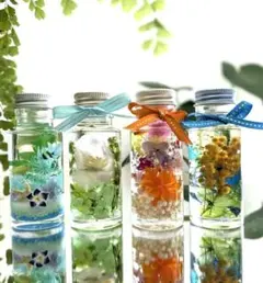 タロイモ様専用 ハーバリウム 4本セット ミモザ、桜、ニゲラ、熱帯魚