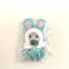 ③シルバニアファミリー カラフルウサギコスチューム わたウサギの赤ちゃん