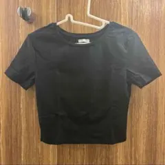 ZARA COLLECTION クロップド丈 半袖Tシャツ ブラック　ミニT