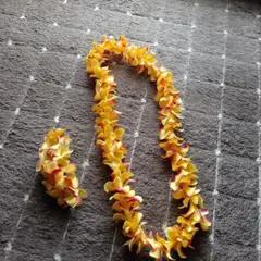 Item thumbnail for item eab2bff0-e646-47ce-82ce-354fb9a4db69