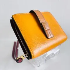 ⭐︎choco様専用⭐︎LOEWE 二つ折り財布 オレンジ系 - メルカリ