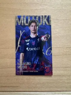 Item thumbnail for item f3e02029-9539-4a6d-800d-3818c03a89ac