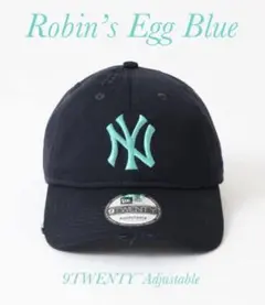 NEW ERA / ニューエラ 別注 NYY ロビンズ エッグ ブルー 920