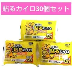 衣類に貼るカイロ レギュラー 30個入のサムネイル