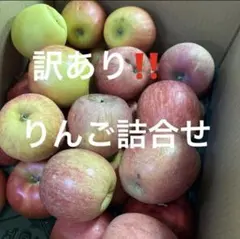 107訳あり‼️りんご　ふじ　ジョナゴールド　王林　10キロ