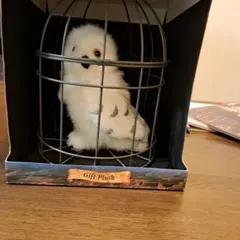 ハリーポッター　フクロウ
