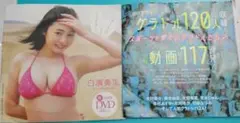 【未開封】白濱美兎 ／ グラドル120人 プレイボーイ付録DVDのみ