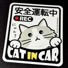 Item thumbnail for item 1116c536-08ed-447e-a384-079ecc303db7