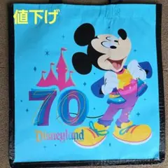 【新品未使用タグ付き】ディズニーランドリゾート70周年エコバッグ