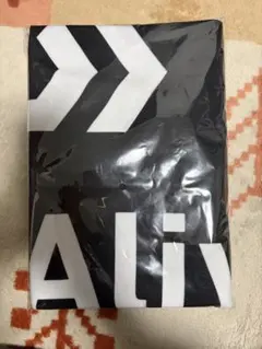 Item thumbnail for item 45eb4e71-d7b1-4fdf-b212-0fb5700c39da