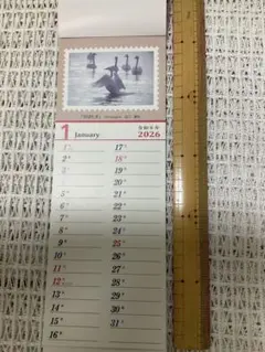 Item thumbnail for item 09c0af87-fd9b-4e4c-8f04-df4672b6c42d