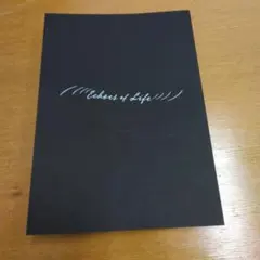 2026年最新】Echoes of life ストーリーブックの人気アイテム - メルカリ