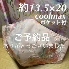 インナーマスク接触冷感cool max ローズ柄レースポケット付ピンク/ピンク