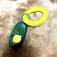 Item thumbnail for item 10ab26b2-1acf-4c4b-8622-f6198da6c7cf