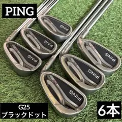 2025年最新】g25 アイアンの人気アイテム - メルカリ
