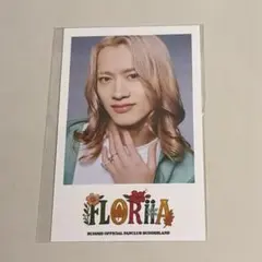 2026年最新】森英寿の人気アイテム - メルカリ