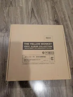激レア THE YELLOW MONKEY vinyl レコードBOX 30th