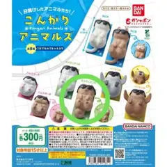 ばけた様 リクエスト 3点 まとめ商品