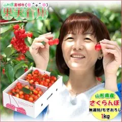 2026年最新】紅秀峰 さくらんぼの人気アイテム - メルカリ