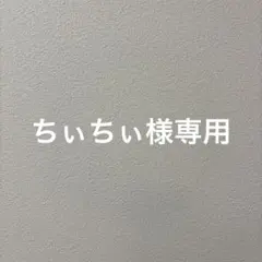 ちぃちぃ様 リクエスト 2点 まとめ商品