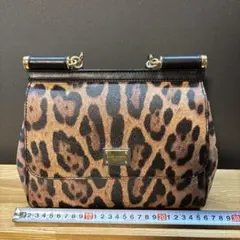 dolce&gabbana シシリー　ミディアムサイズ　レオパードのサムネイル