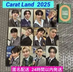 SEVENTEEN セブチ 2025 CARAT LAND フォトカード 12枚