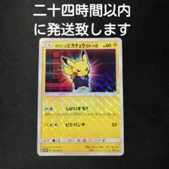 2026年最新】193/SM-P ボスごっこピカチュウ マグマ団の人気アイテム