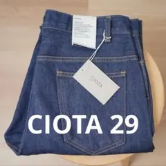 CIOTA PTL-3SL-PIW 29인치