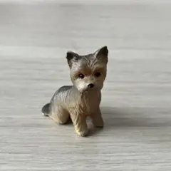 ヨークシャーテリア 犬 フィギュア 置き物 プライズ ヨークシャテリア